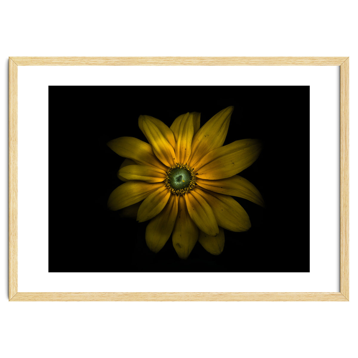 Backyard Flowers No 34 Color Version