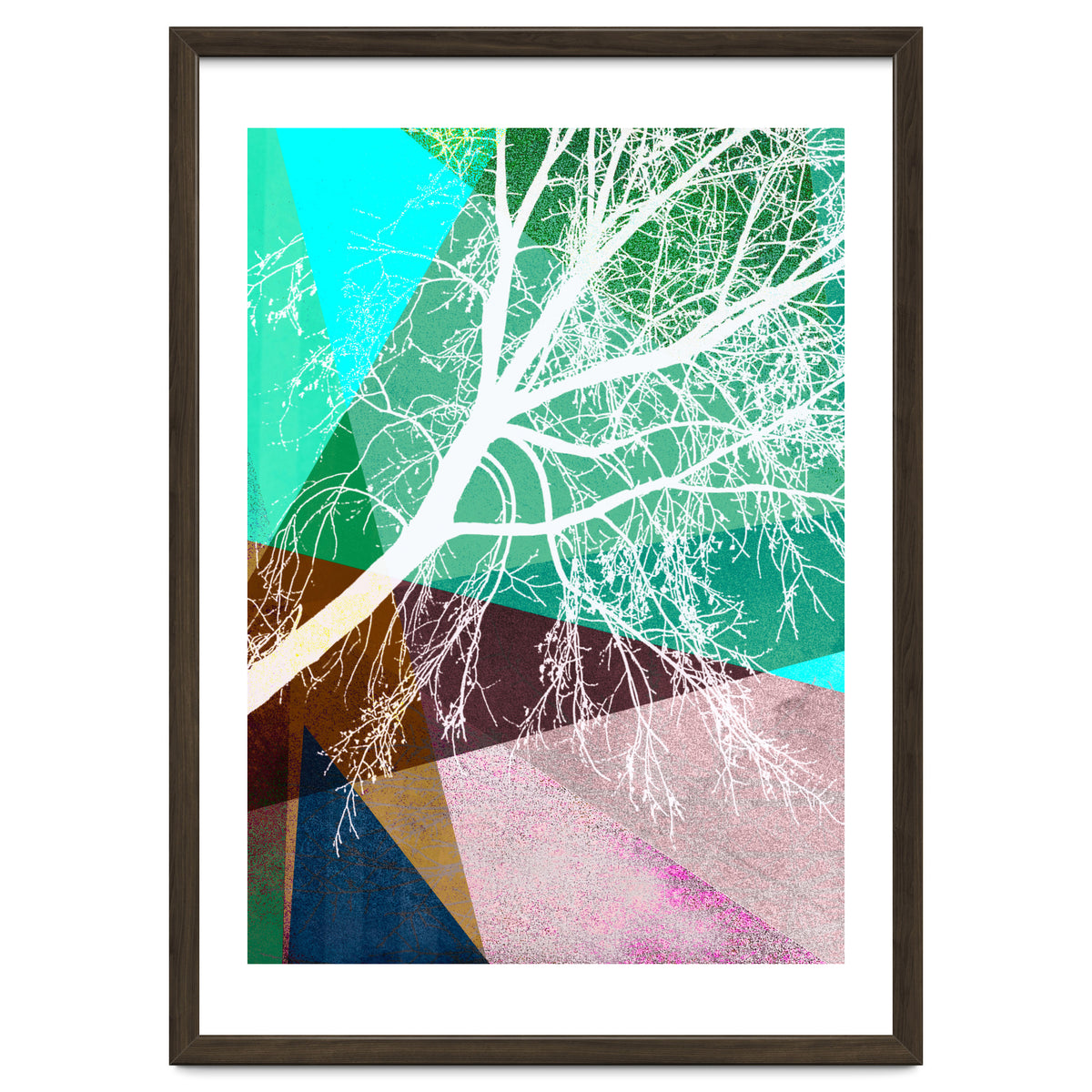 P16-H Trees And Triangles