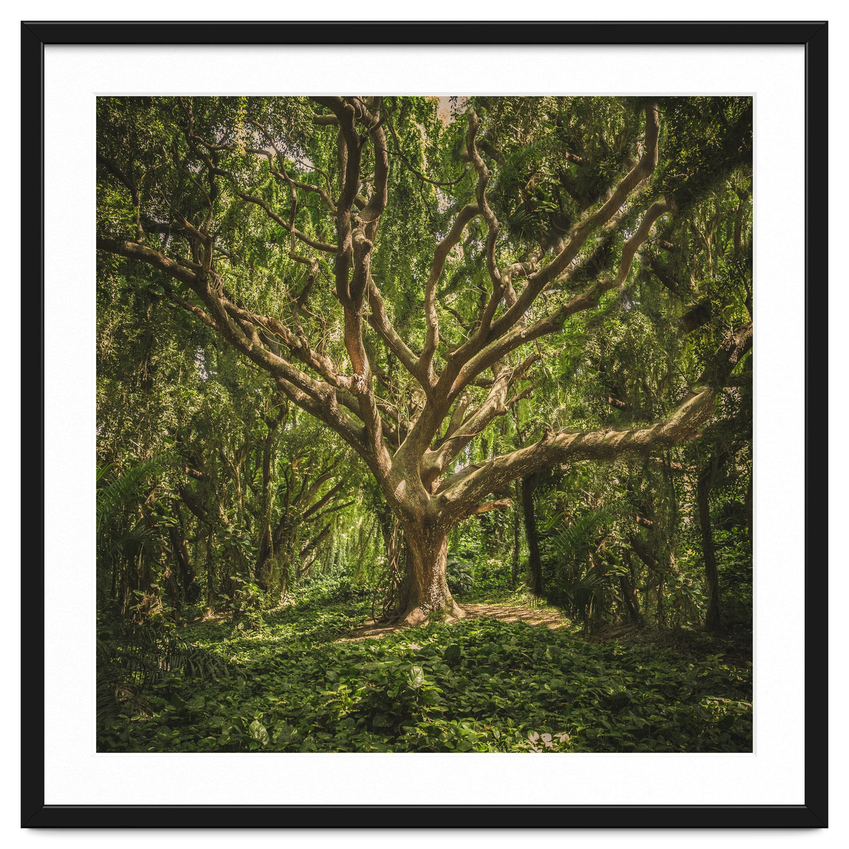 Spirits inside the wood