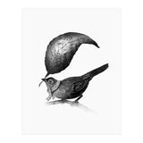 The Messenger (Print Only) thumbnail