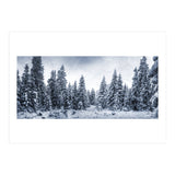 Winterland (Print Only) thumbnail