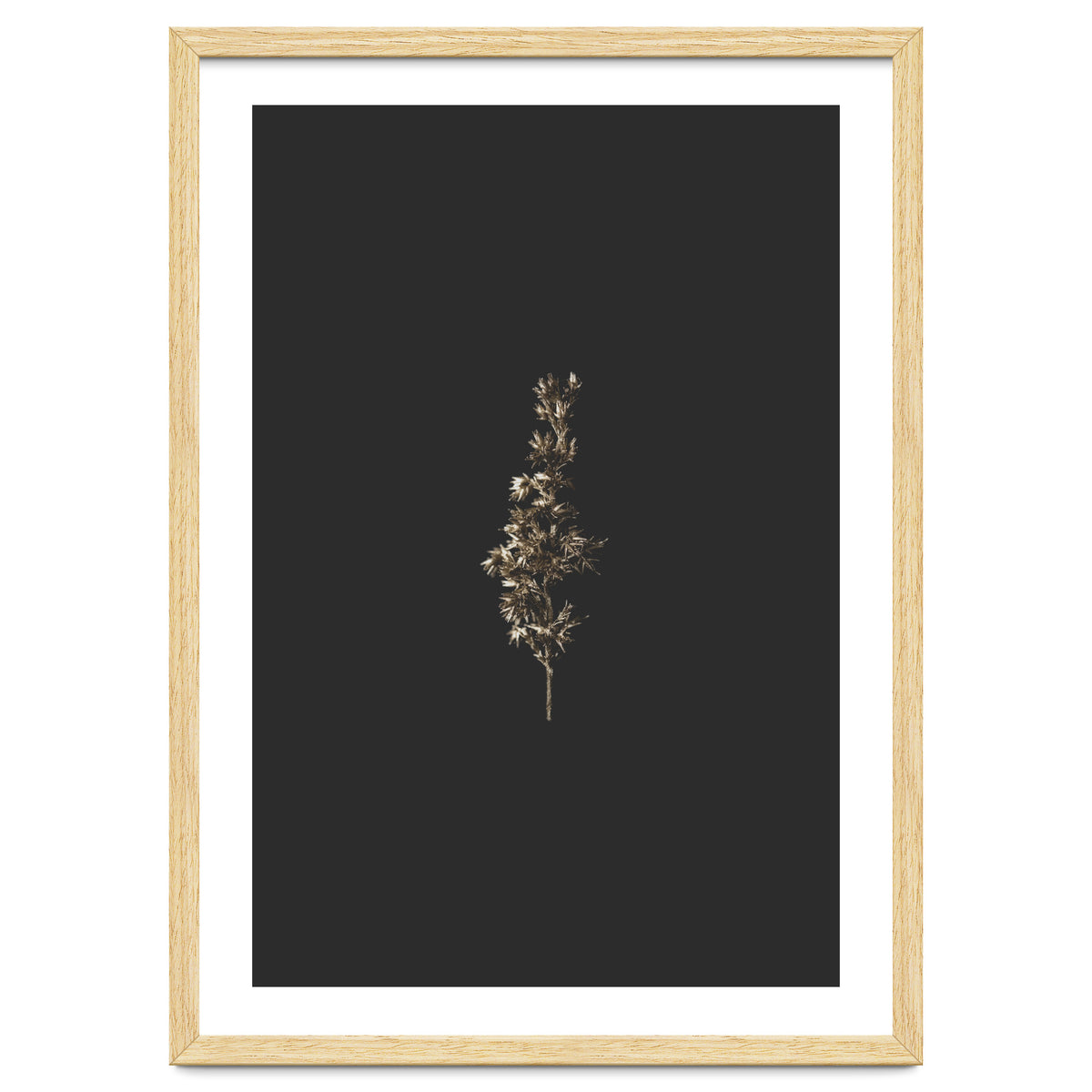 Gold Rush Botanicals