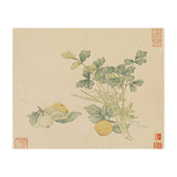 Wang Chengyu~flowers And Vegetables, Vegetables, Fruits, Plums, Apricots, Celery (Print Only) thumbnail