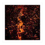 Lulu (Print Only) thumbnail