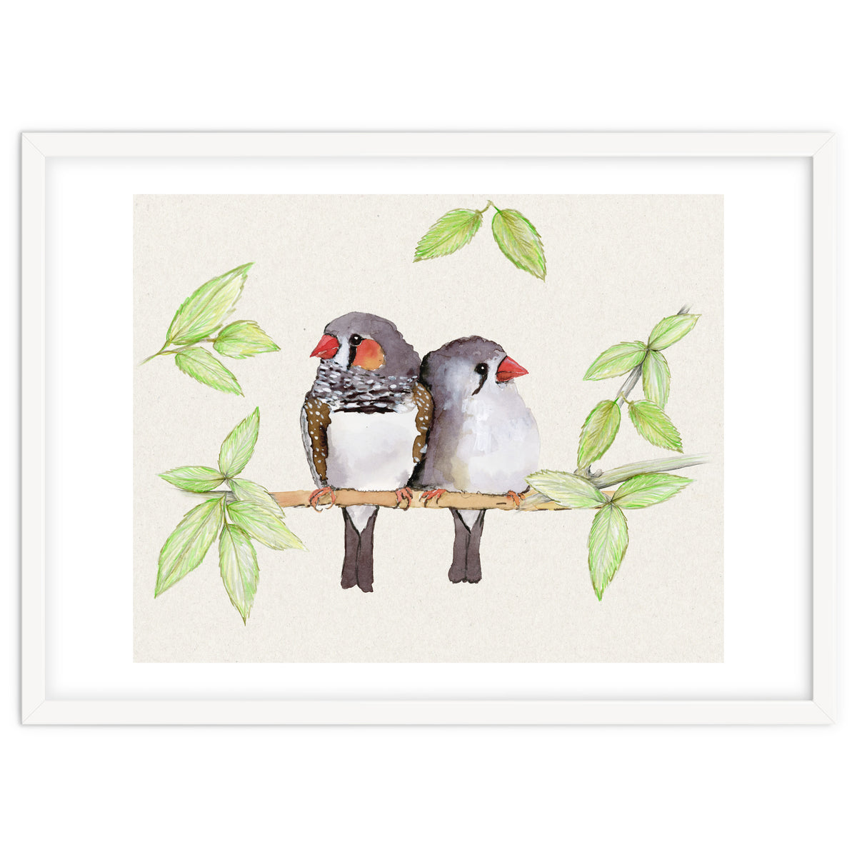 Sweet couple of zebra finches