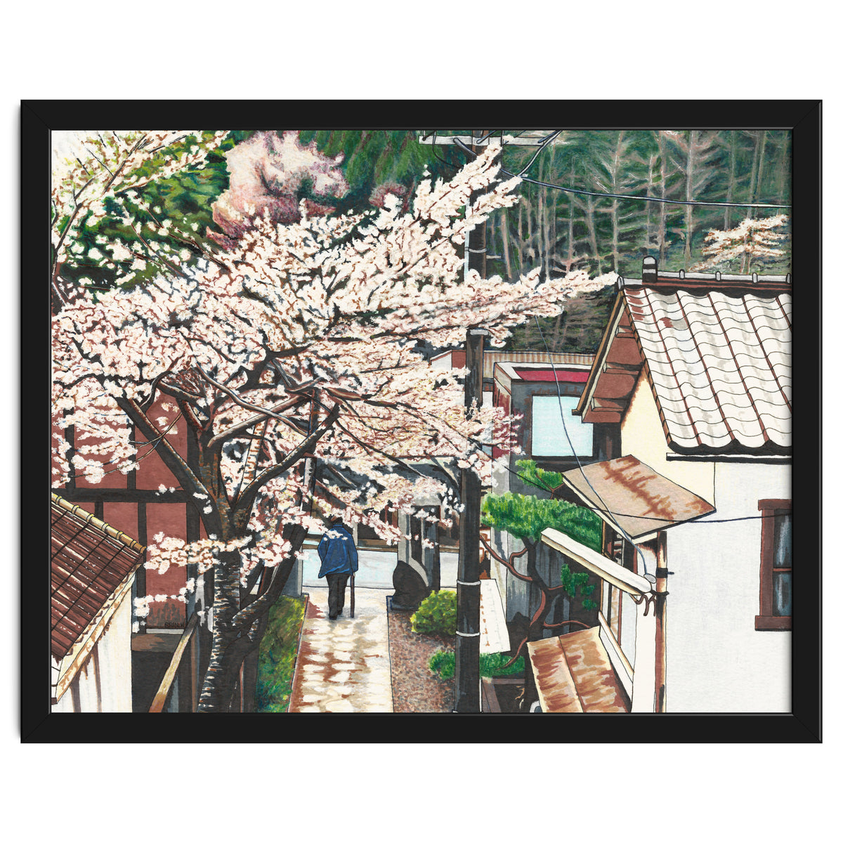 Passing by Cherry Blossoms