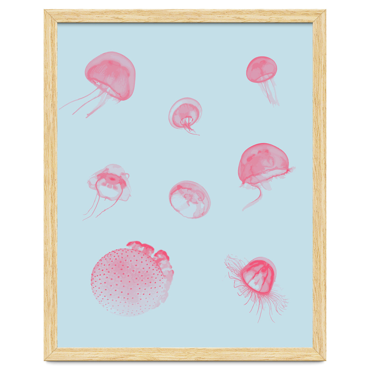 Jellyfish