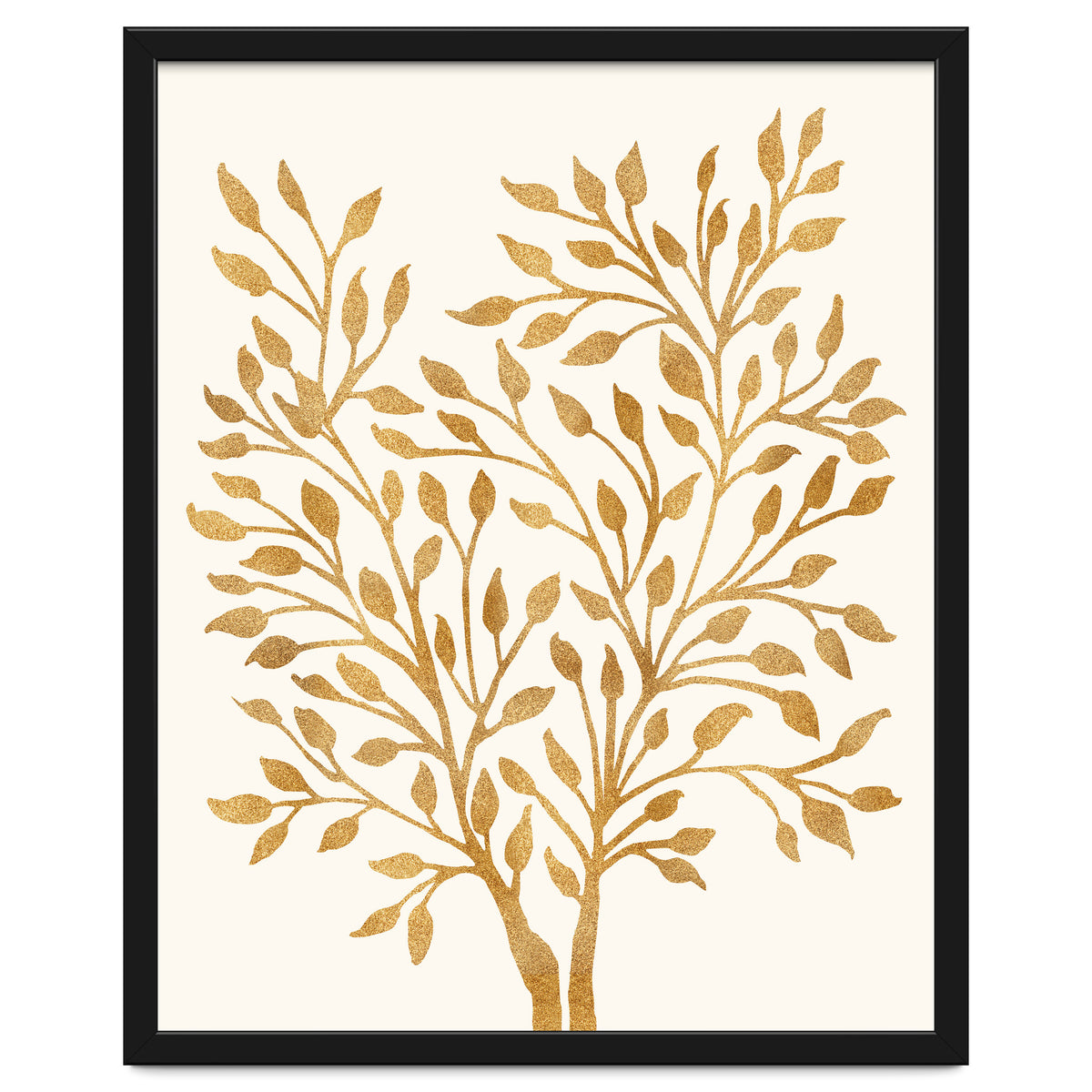 Golden Ficus 4x5