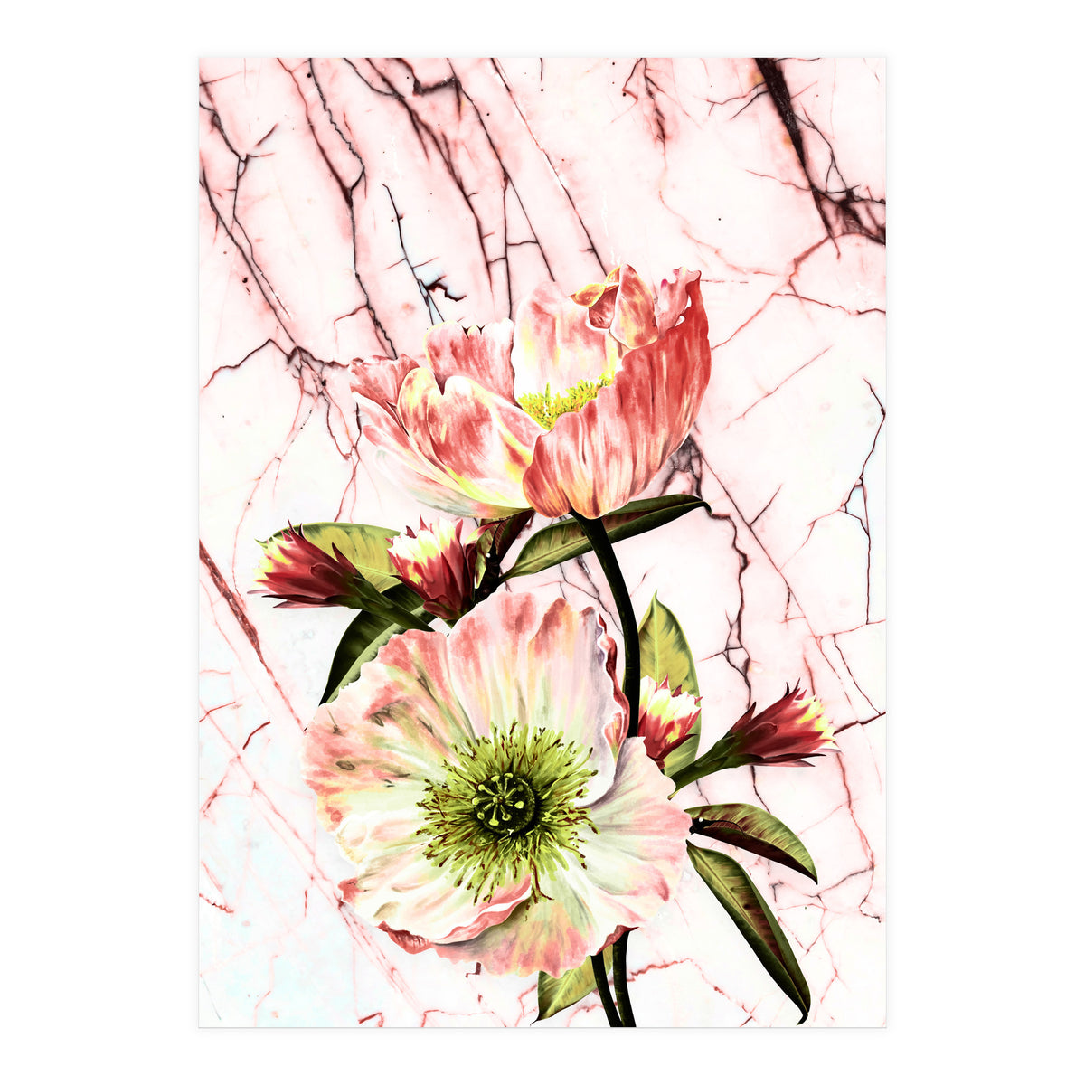 Flowering on pink marble (Print Only)