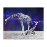 Giraffes on The Moon (Print Only) thumbnail