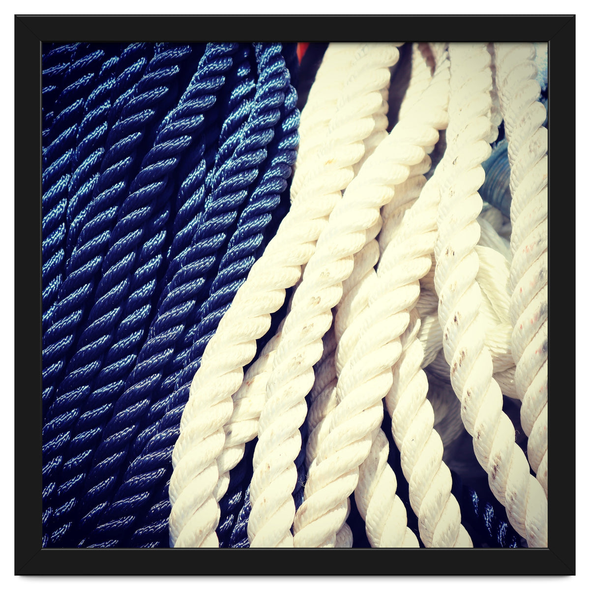 Blue and white fishing rope