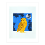 Golden Eyes (Print Only) thumbnail