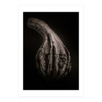 Gourds No 2 (Print Only)