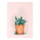 Aloe in orange pot (Print Only) thumbnail