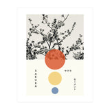 Sakura - Cherry blossom - Japanese - Photography (Print Only) thumbnail