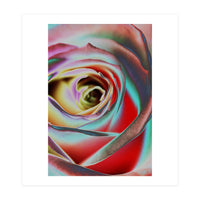 Rose (Print Only)