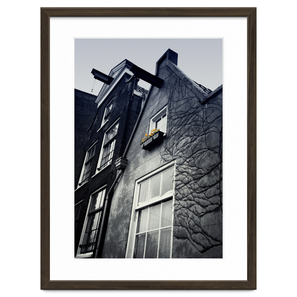 Amsterdam. House With Yellow Flowers.