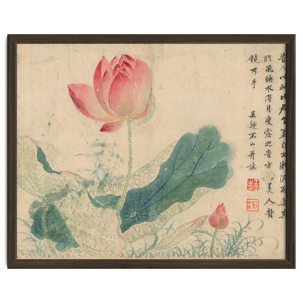 Qing Wangwu Flower album, lotus, lotus leaf, pond, copy of water grass