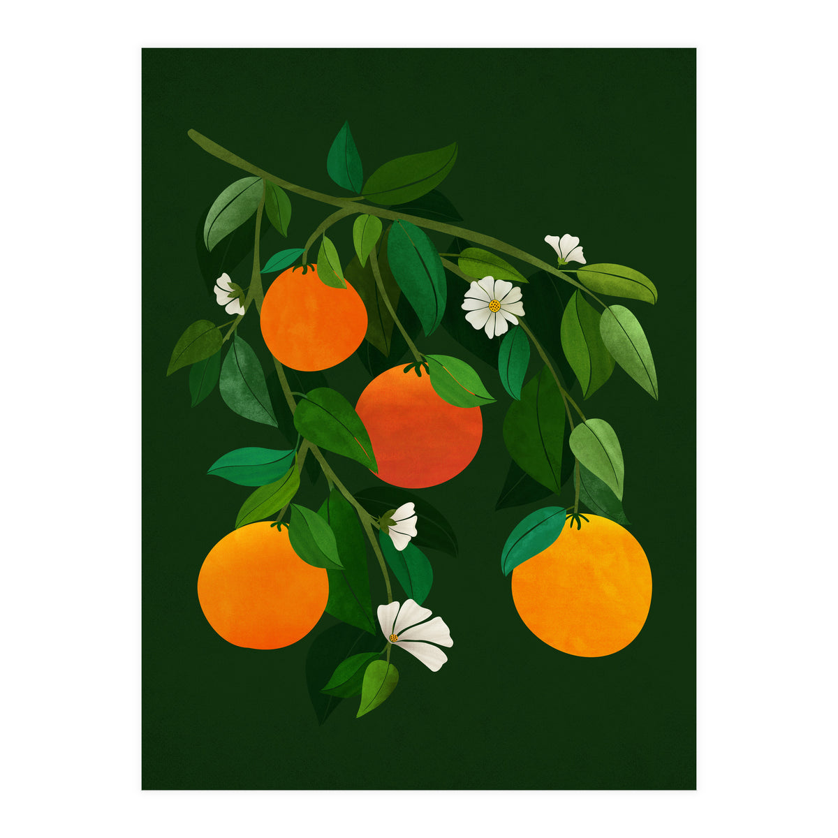 Oranges and Blossoms (Print Only)