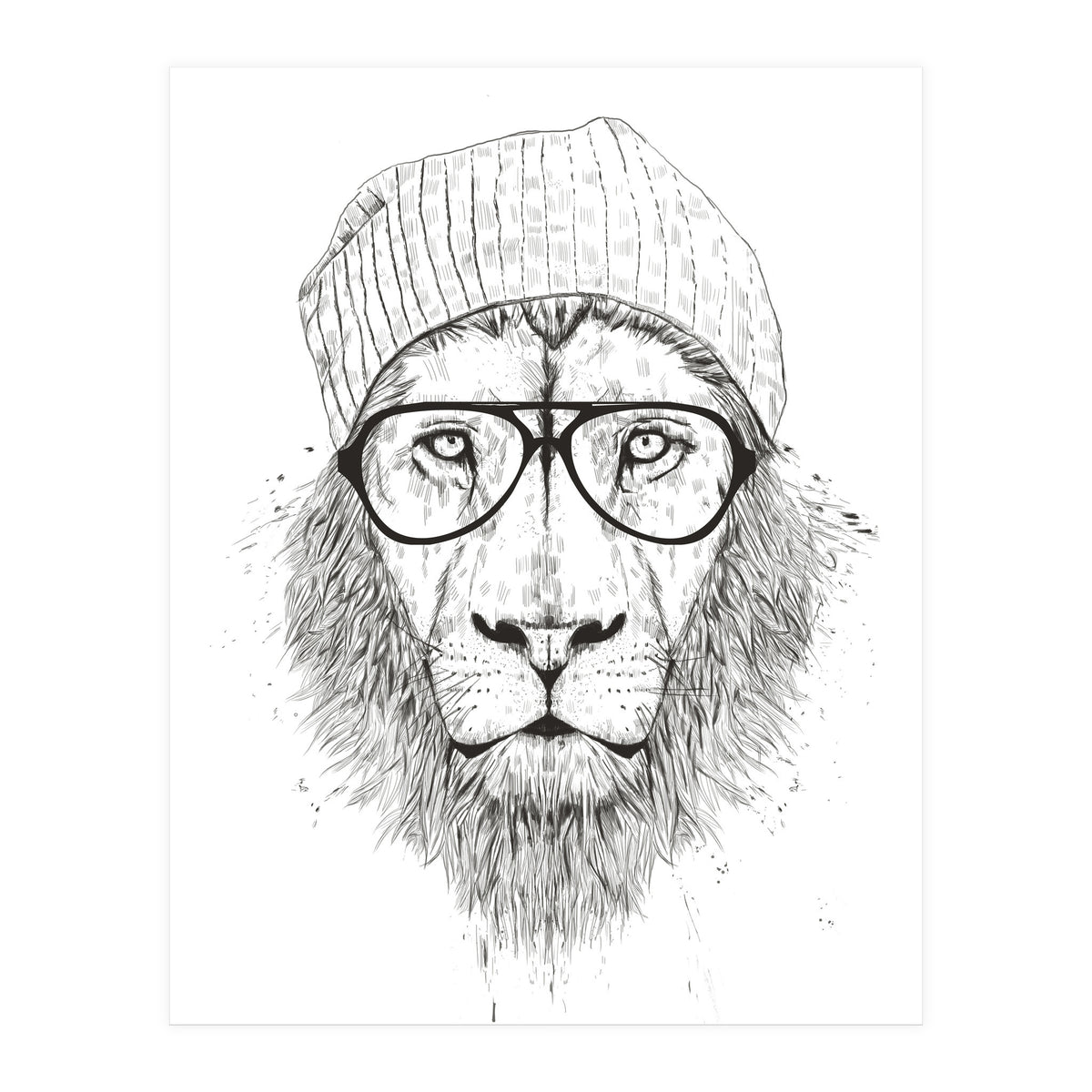 Cool Lion Bw (Print Only)