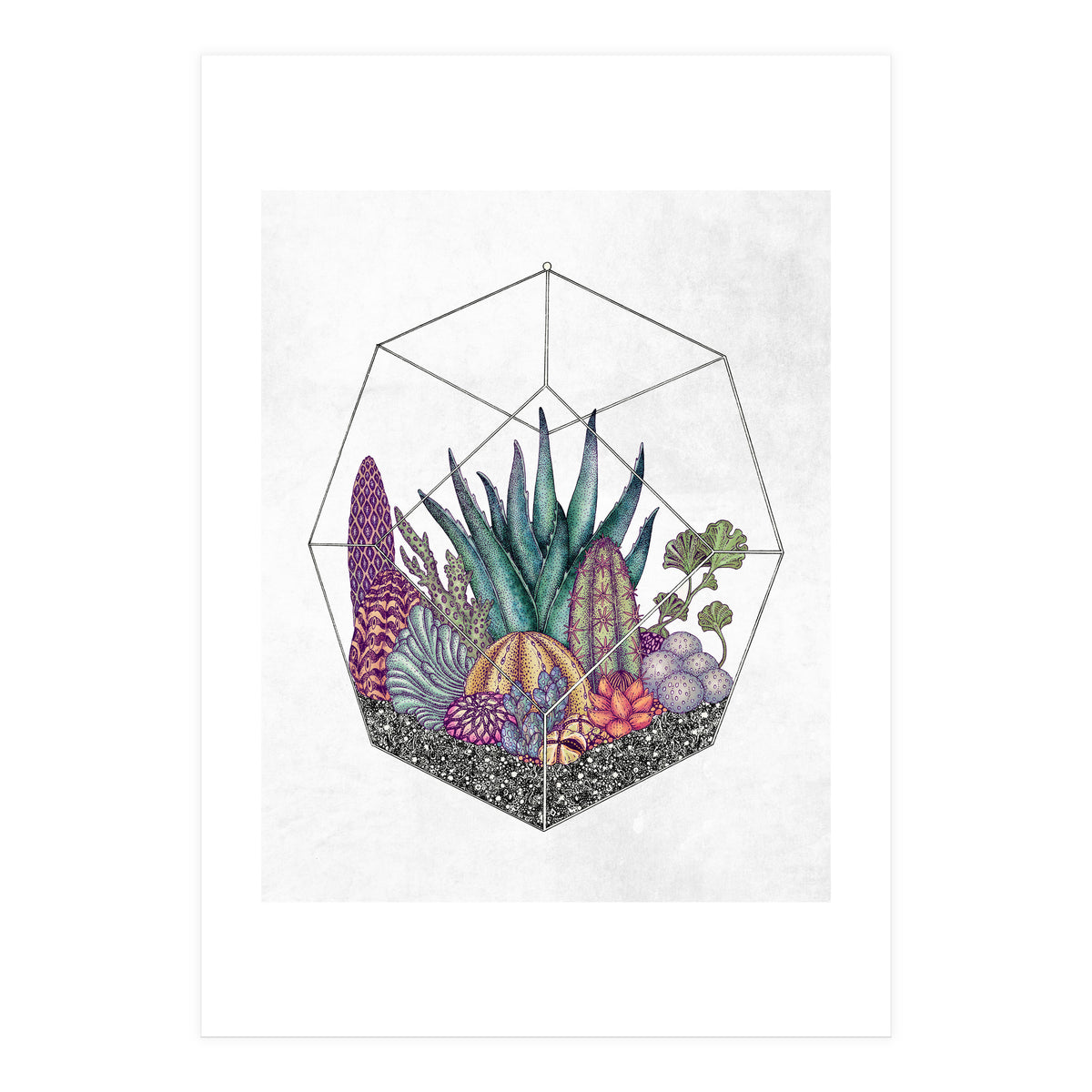 botanical geometria (Print Only)