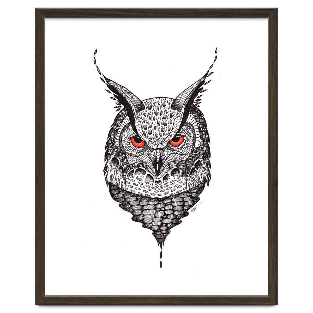 Owl