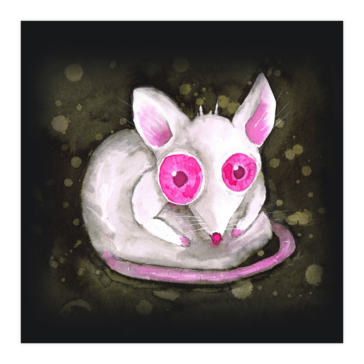 Albino rat (Print Only)