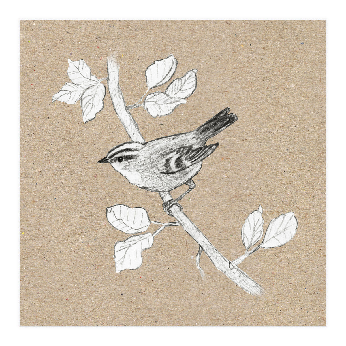 Gold crest (Print Only)