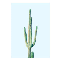 Loner Cactus (Print Only)