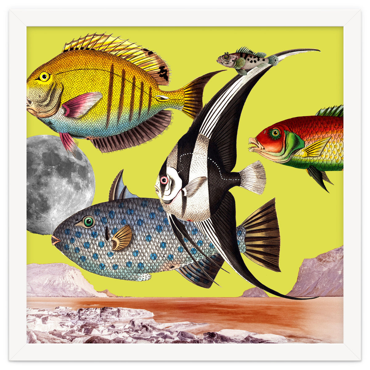 Plenty Of Fish In The Sea Yellow