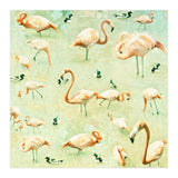 Flamingos (Print Only) thumbnail