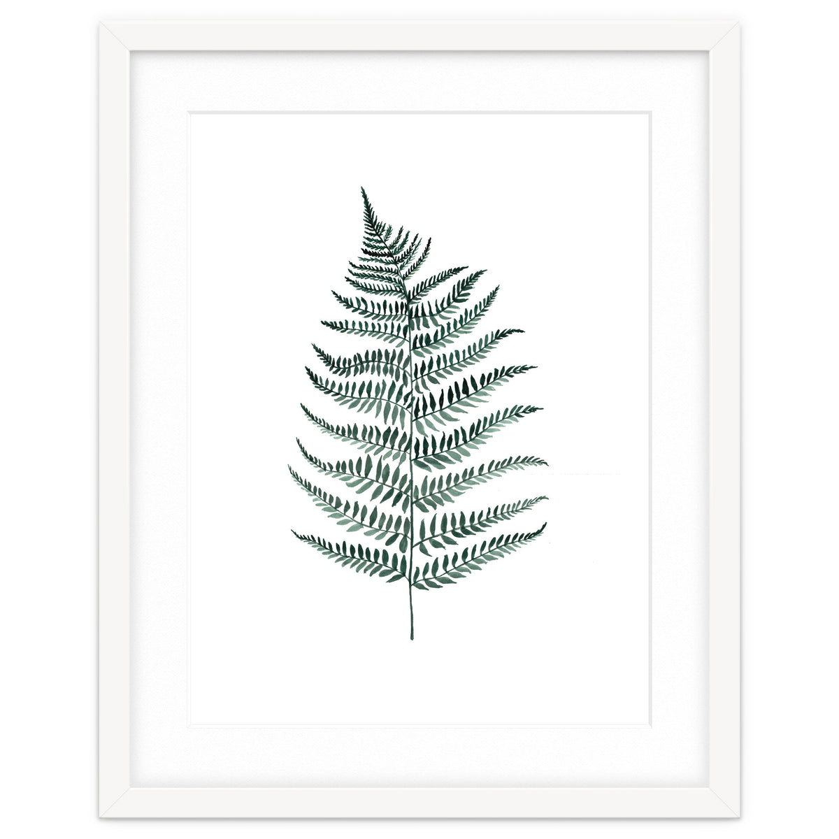 Botanical Illustration Silverfern