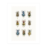 Cc Insects 05 (Print Only) thumbnail