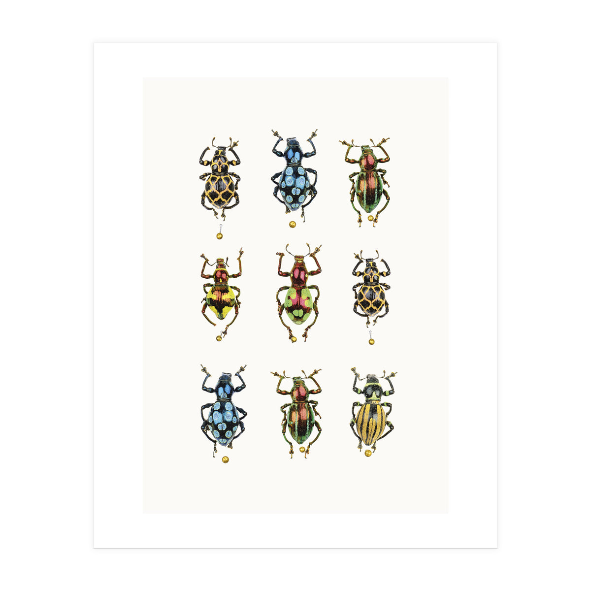 Cc Insects 05 (Print Only)