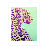 Leopard Under The Sun (Print Only) thumbnail