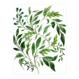 Botanical Abundance, Fresh Green Nature Watercolor Painting, Vibrant Leaves Minimal Illustration (Print Only) thumbnail