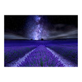 Under The Stars (Print Only) thumbnail