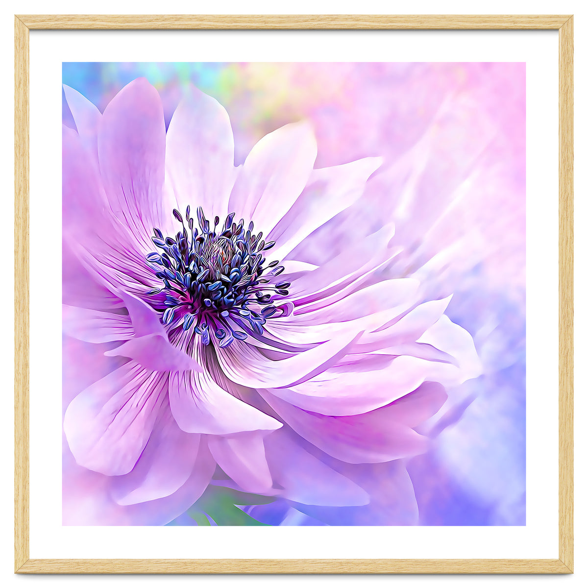 Wispy Purple Anemone