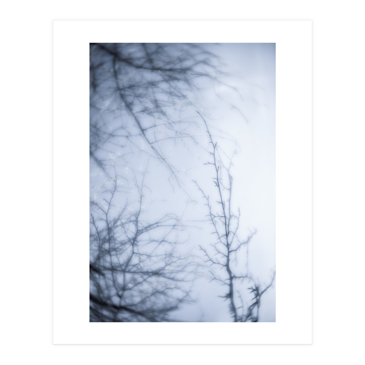 Forgotten Memories of Summer #21 (Print Only)