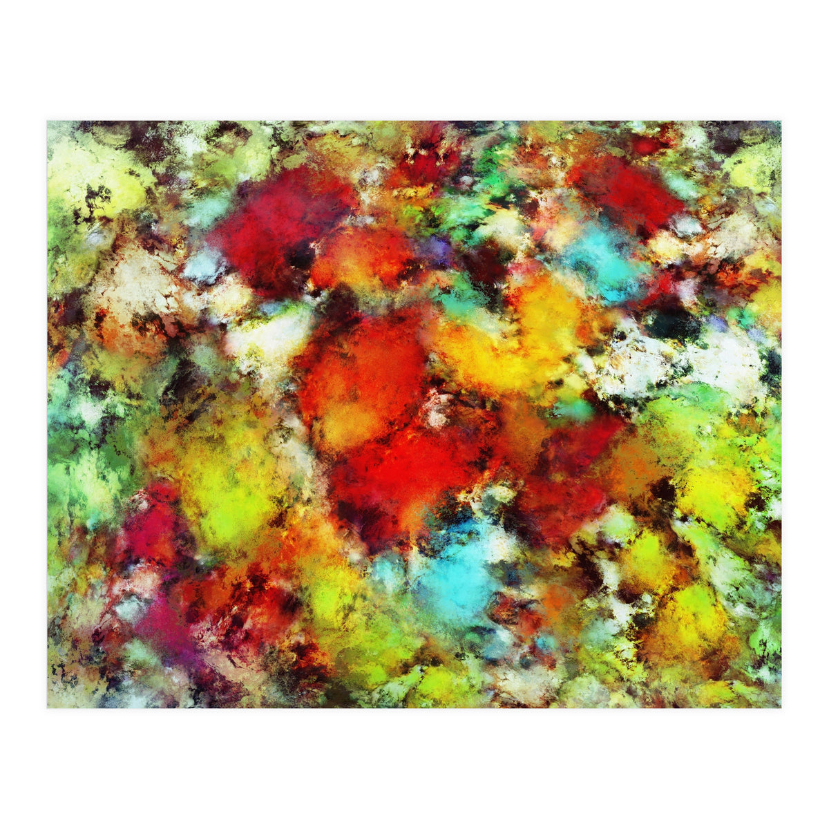 Expansion (Print Only)