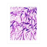 Ultra Violet (Print Only) thumbnail