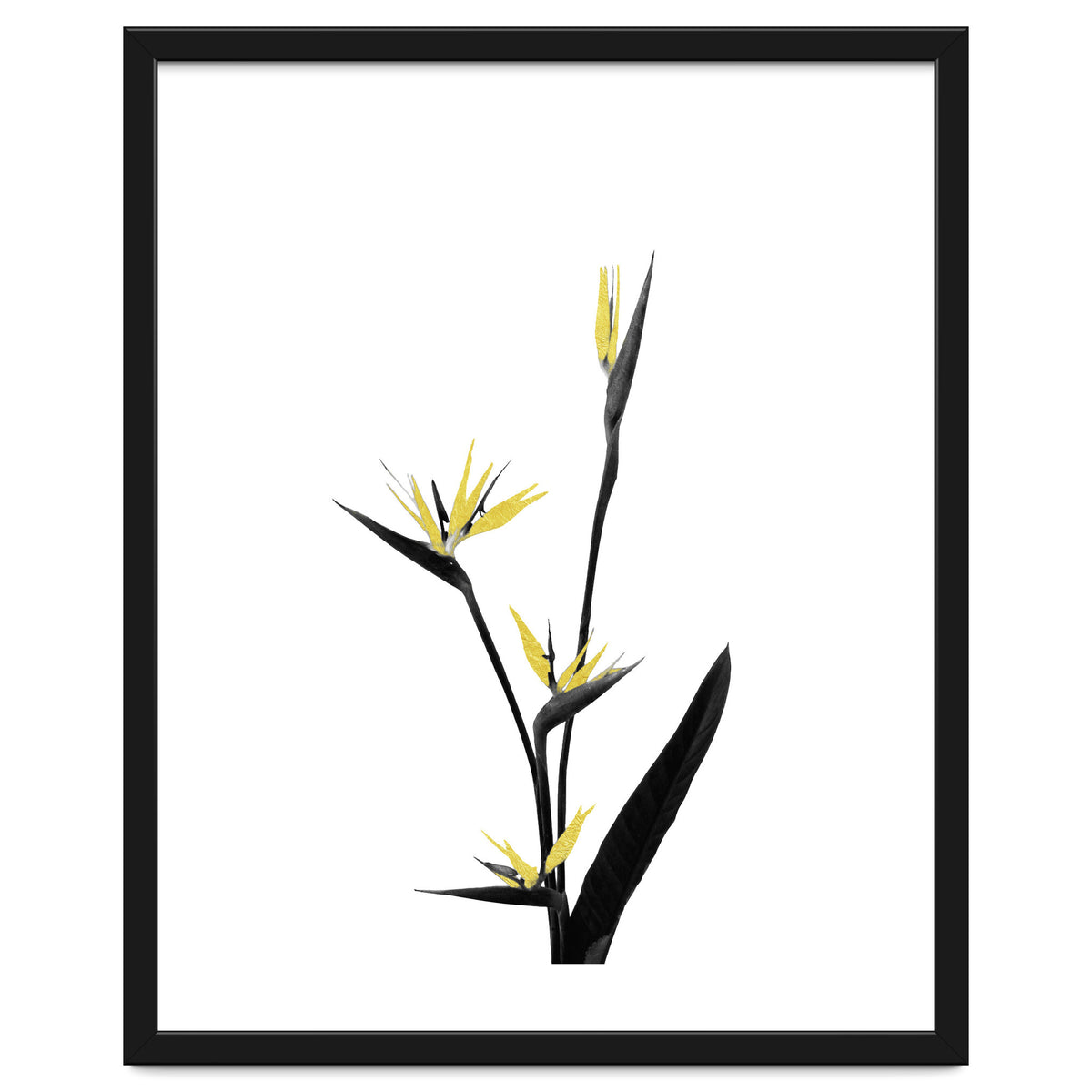Flower Minimal Black And Gold 05