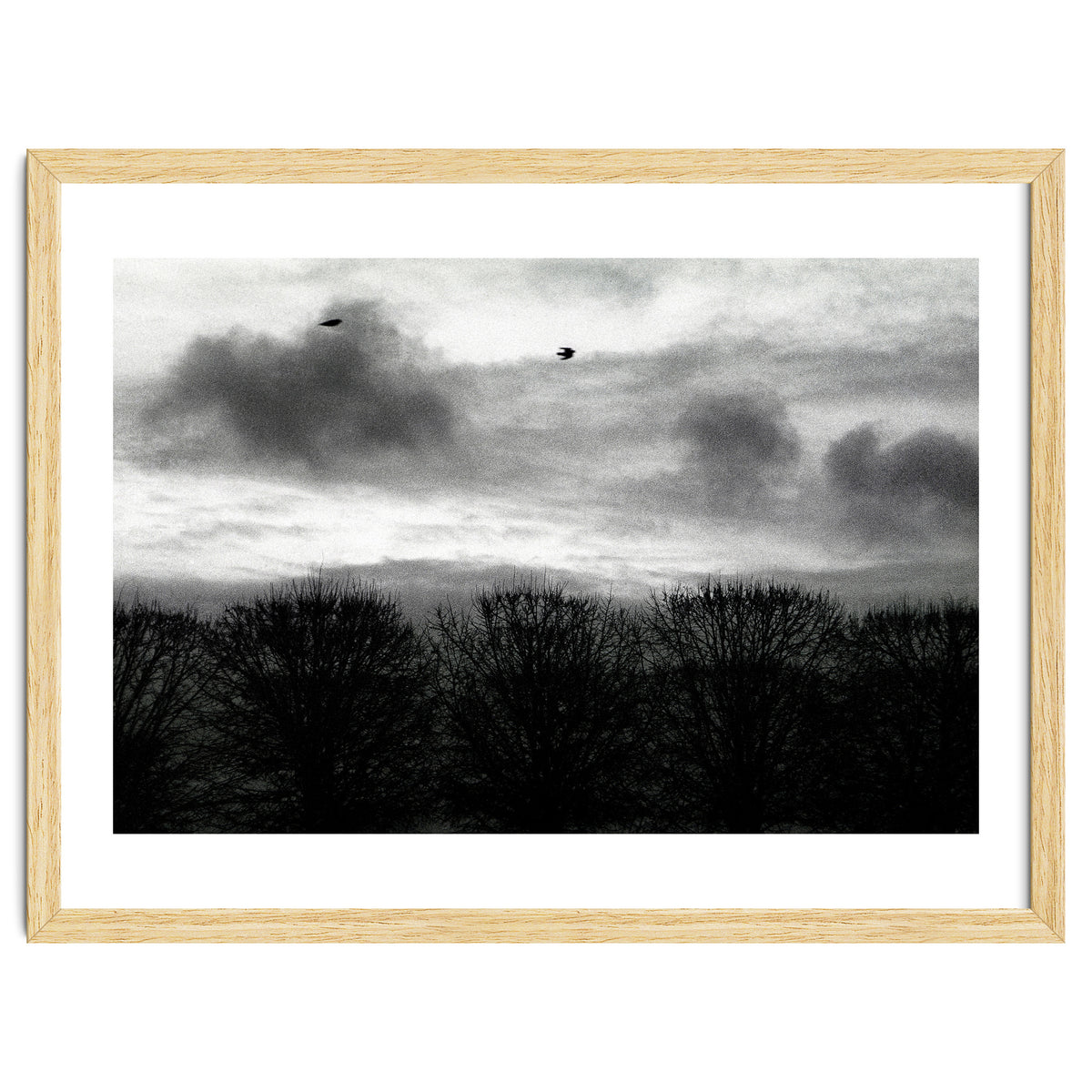 Winter mornig in Paris