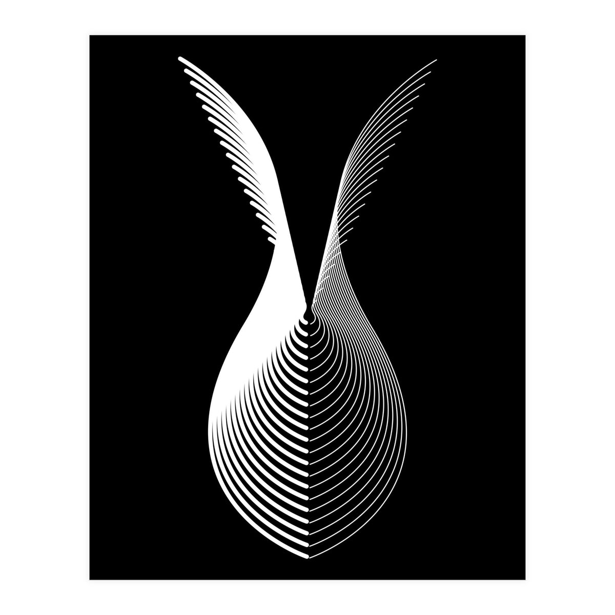 Wings_Black (Print Only)