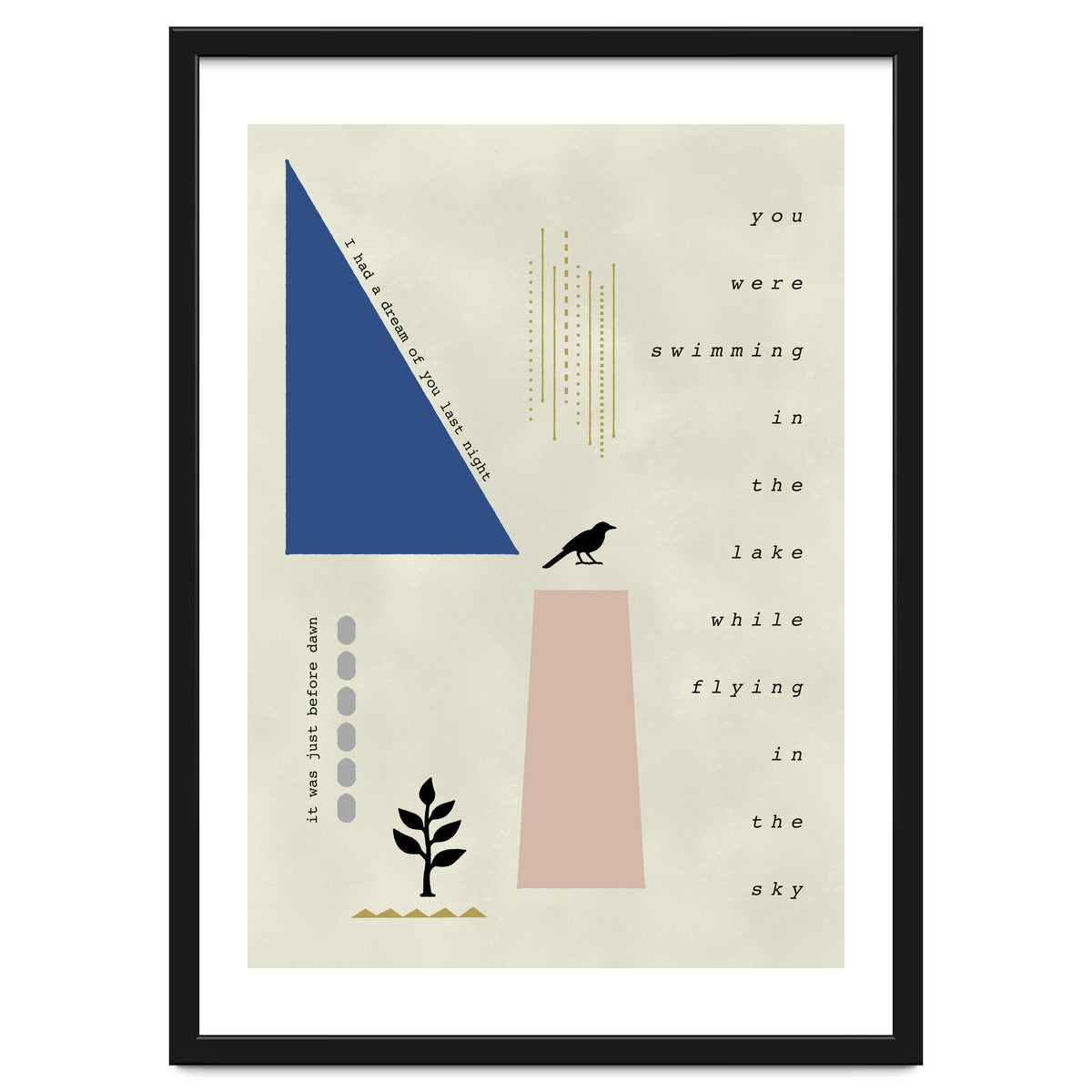 swimming while flying dream