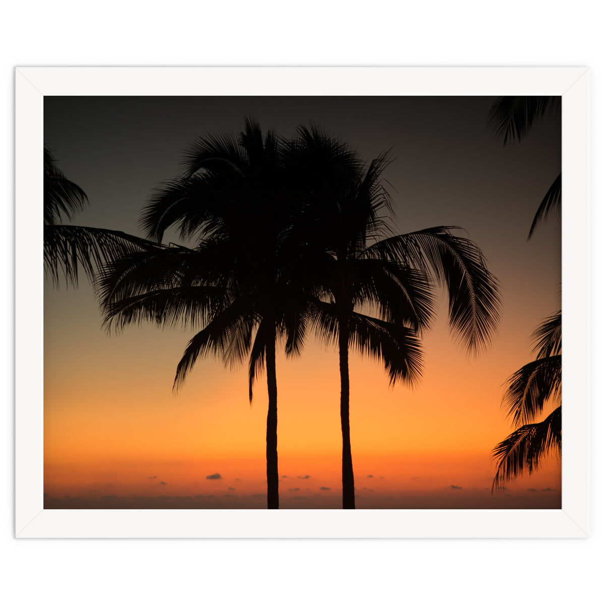 Mexico, November nights