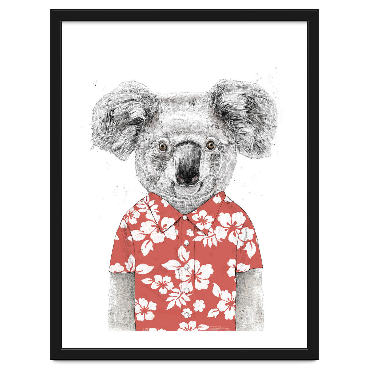 Summer Koala
