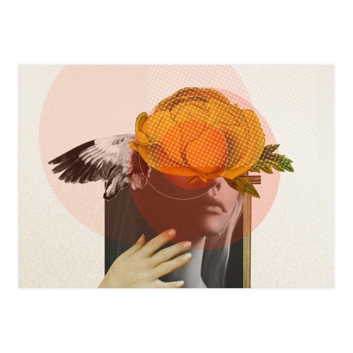 Dreamland Division · C (Print Only)