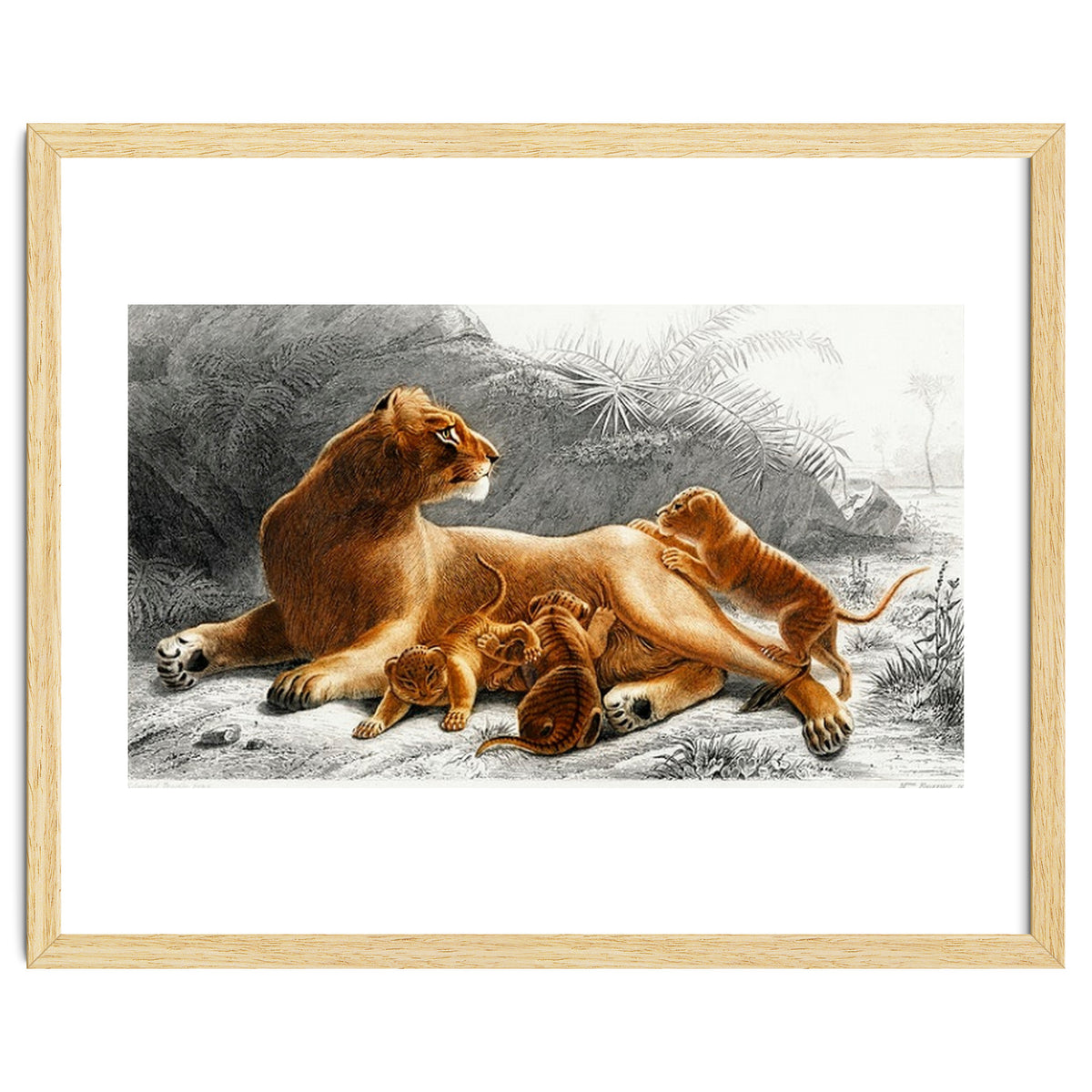 Fails Leo illustrated