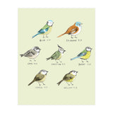The Tit Family (Print Only) thumbnail